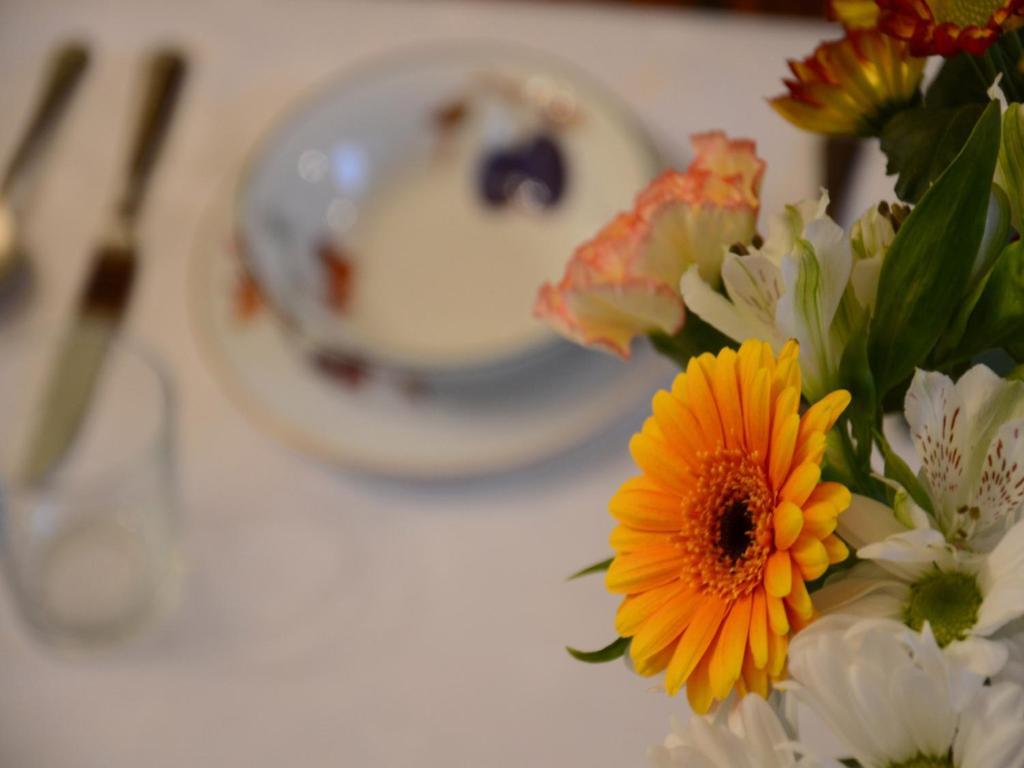 Powis House B&B Stirling Esterno foto