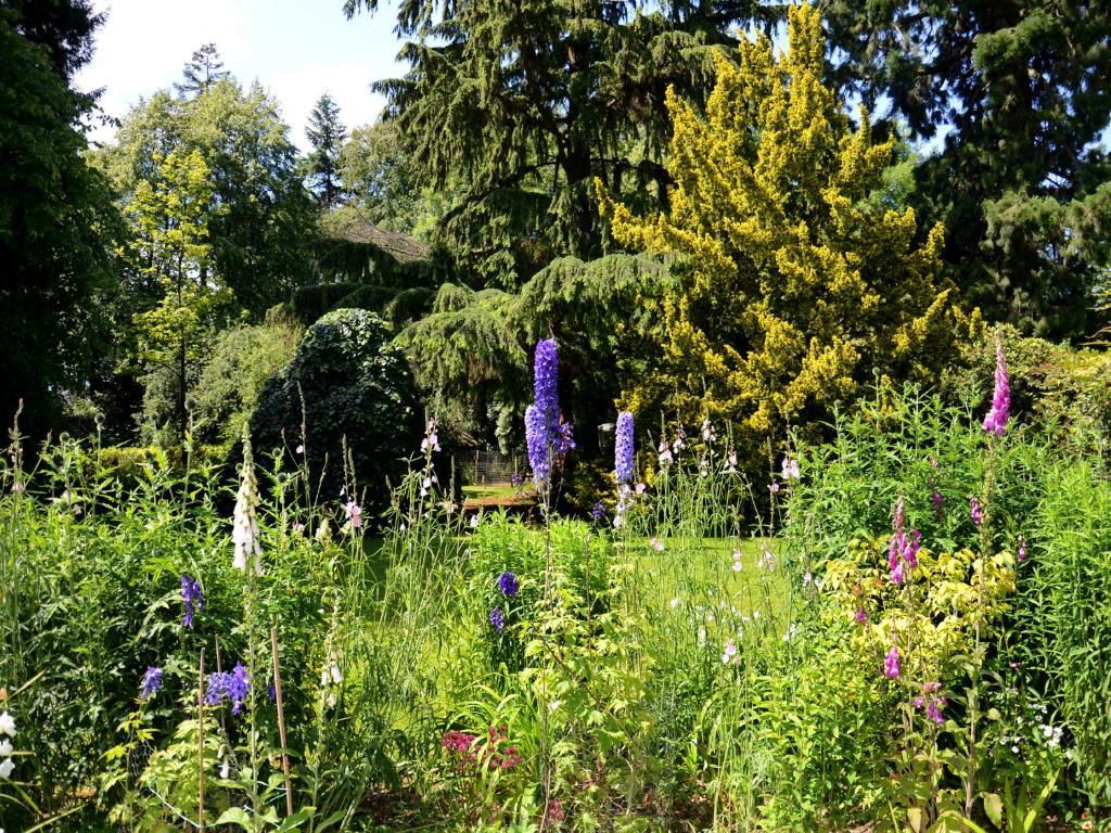 Powis House B&B Stirling Esterno foto